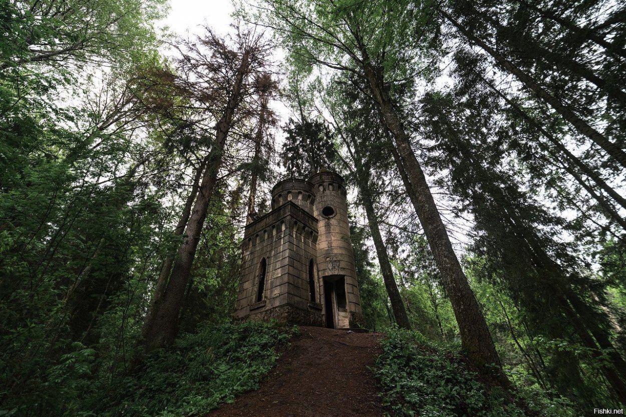 Дубово-грабовые леса