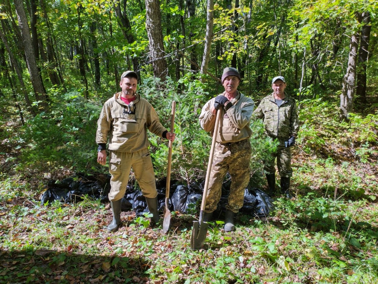 Олений мох сфагнум