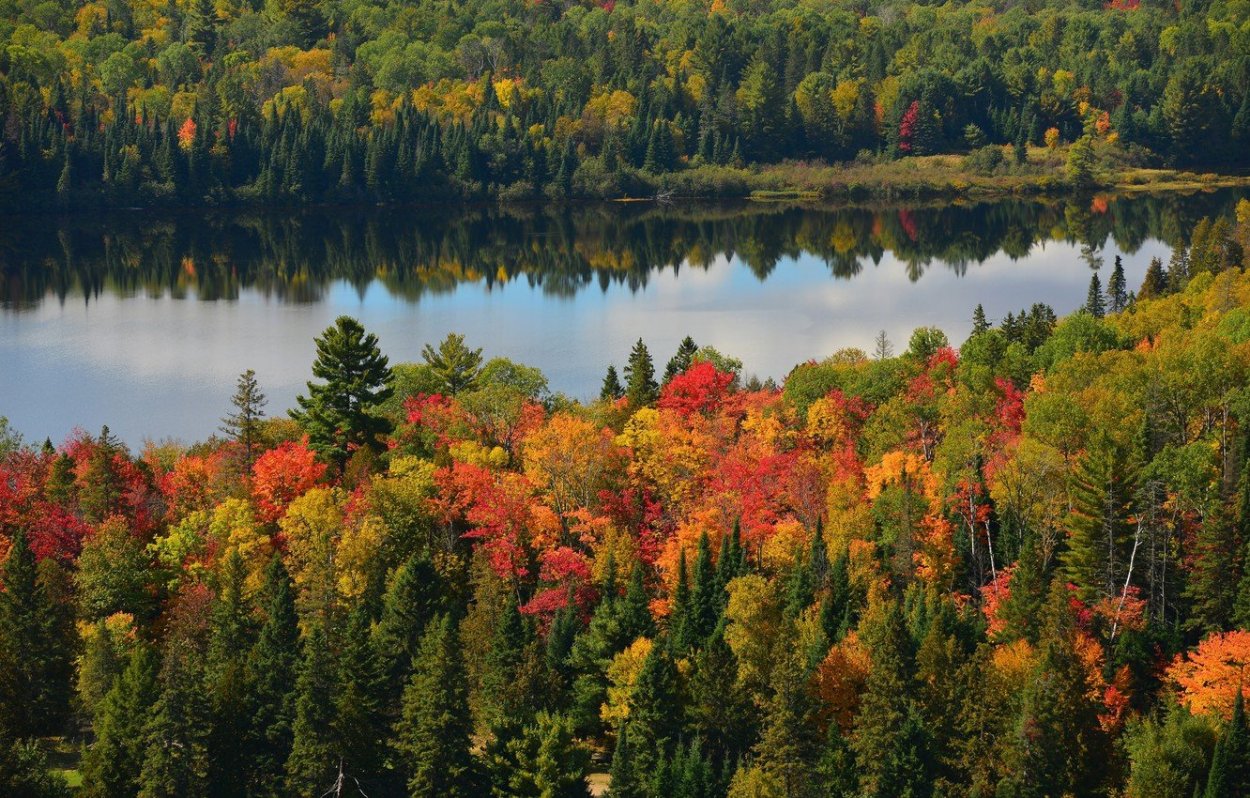 Кшень (река)