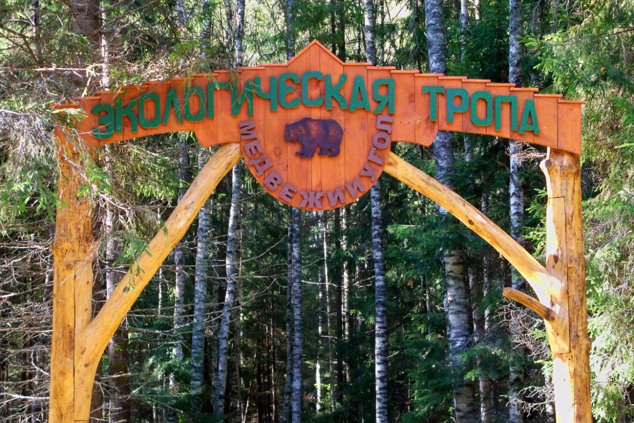 Природа Чувашии Сосновый Бор