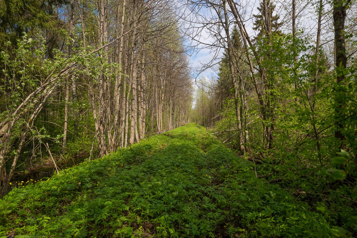 Ботанический заказник Ракитинский