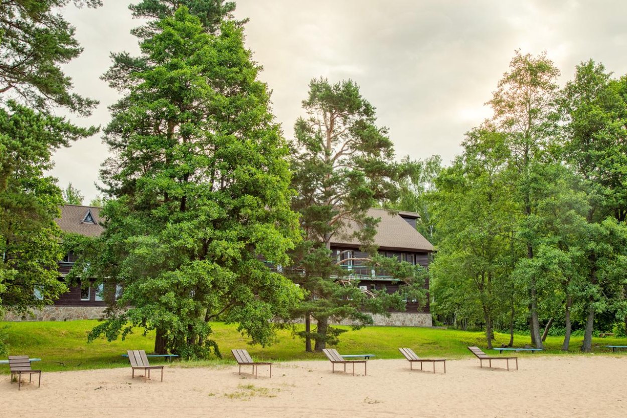 Таловские болота