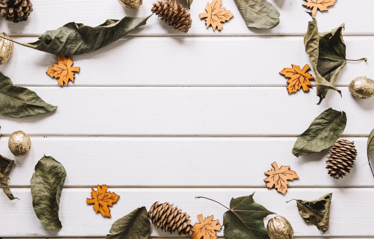 Ясень дуб бук лиственница сосна