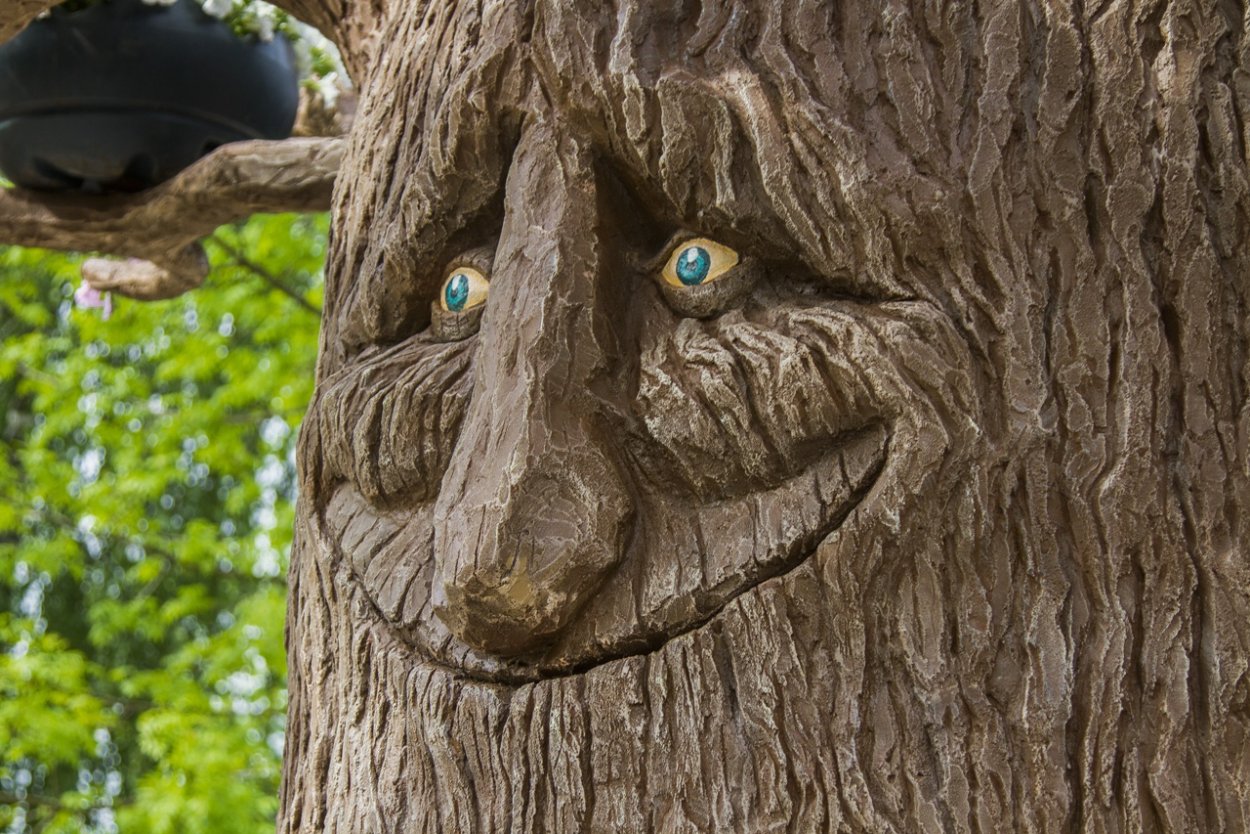 Дерево улыбается