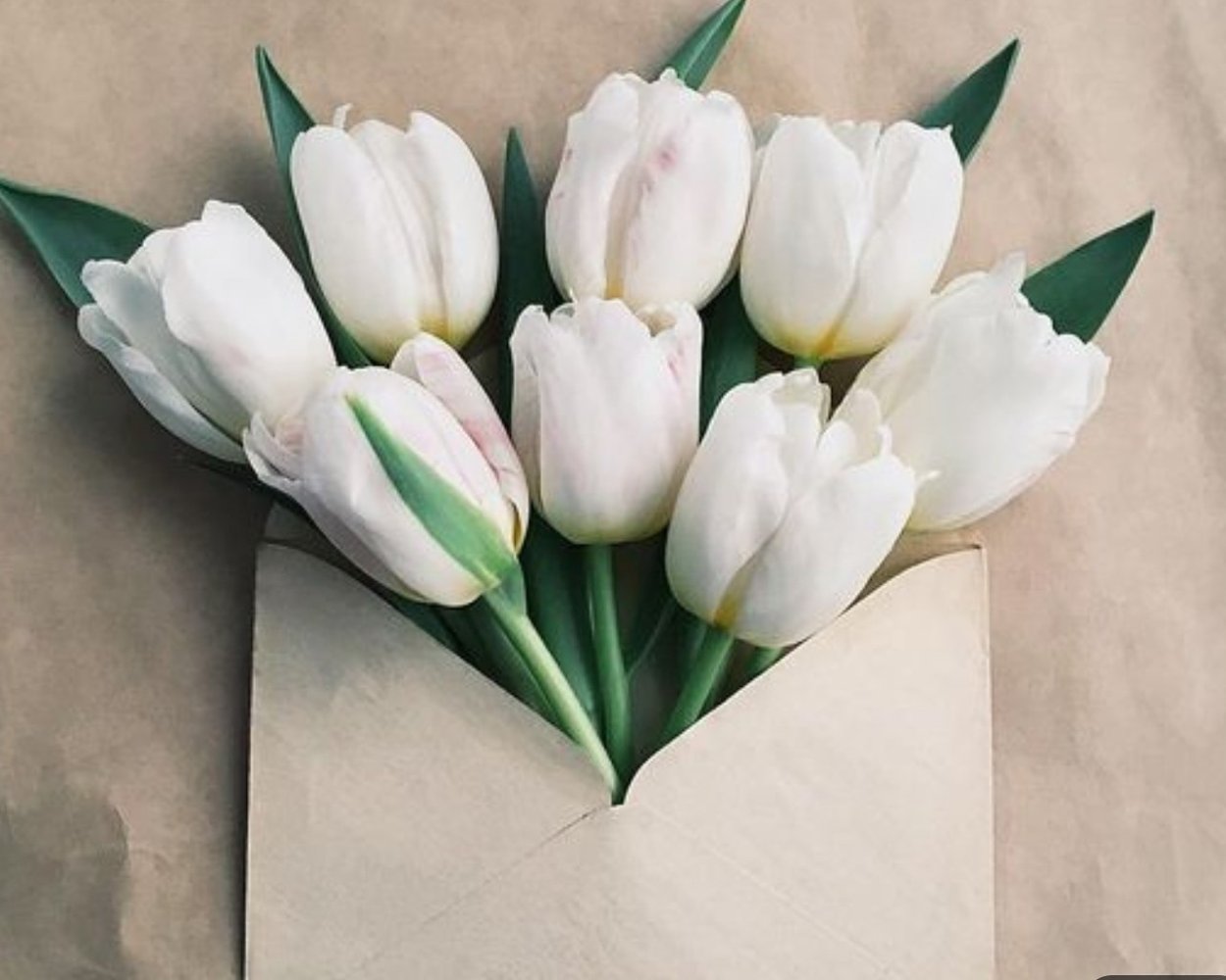 Тюльпаны Эстетика