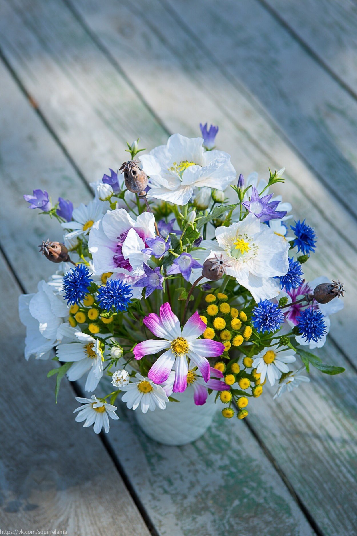 Полевые цветы