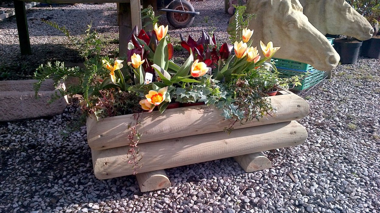 Клумба в пеньке