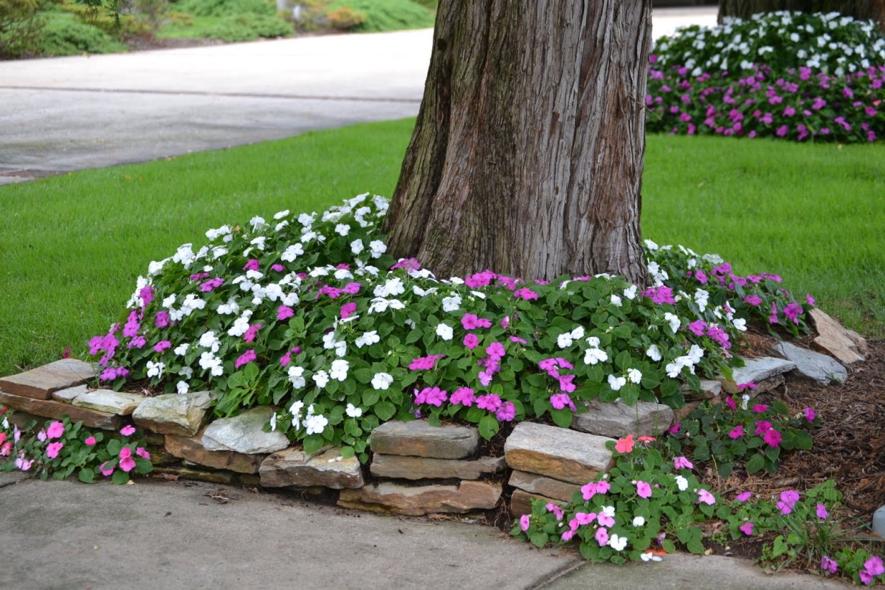 Клумба из досок для цветов