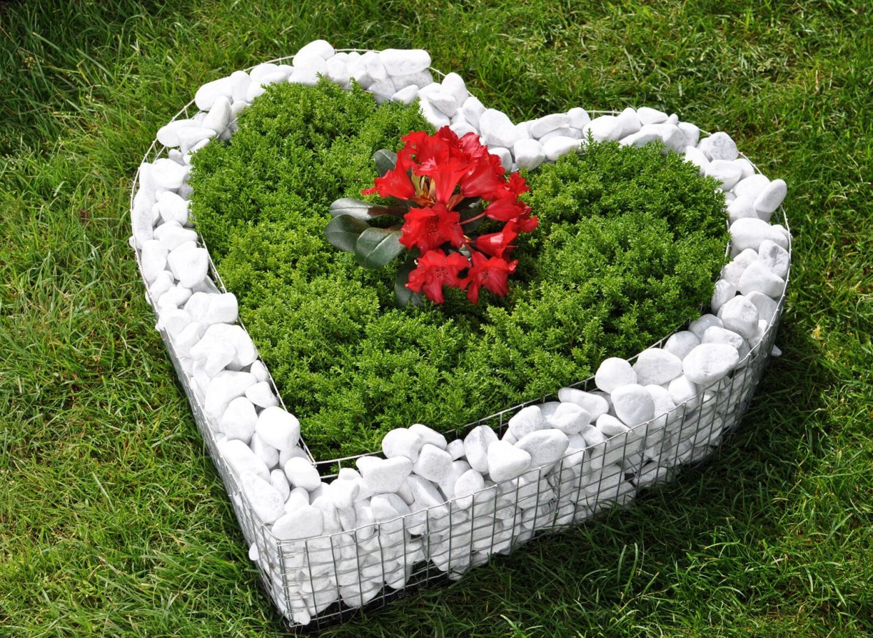 Цветочные клумбы из пней