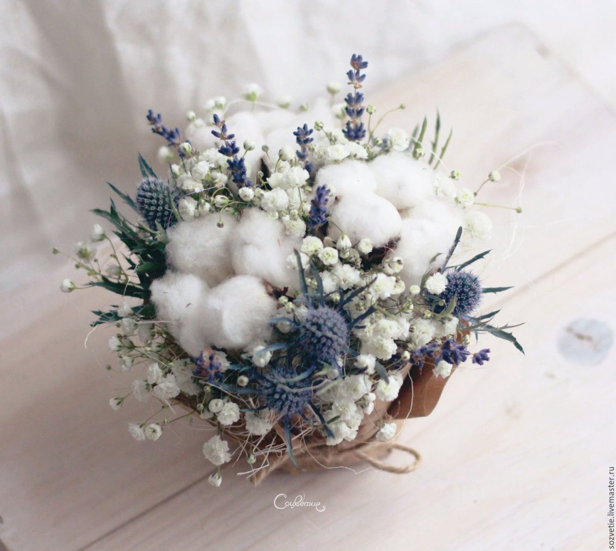 Гипсофила Эстетика