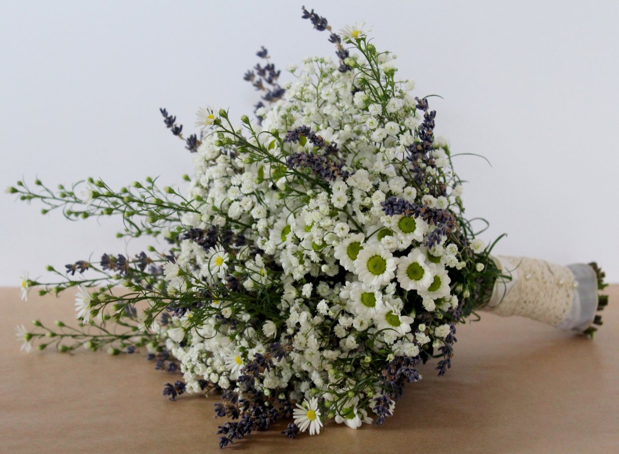 Гипсофила Лавендер