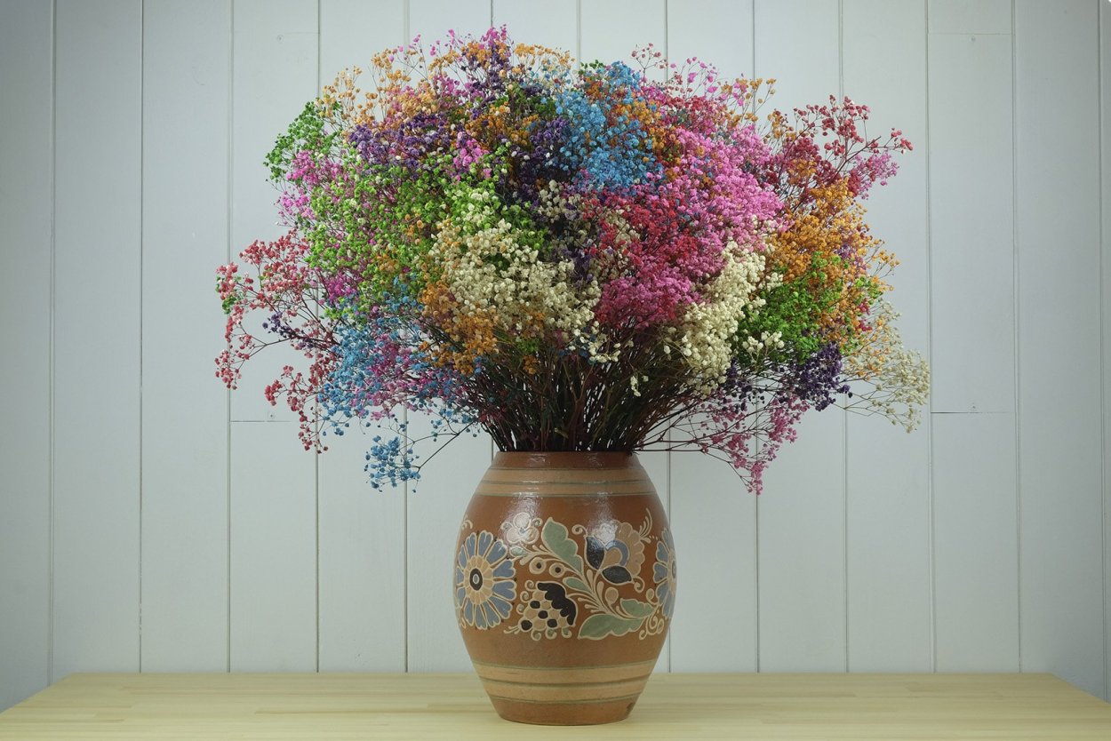 Гипсофила флористика