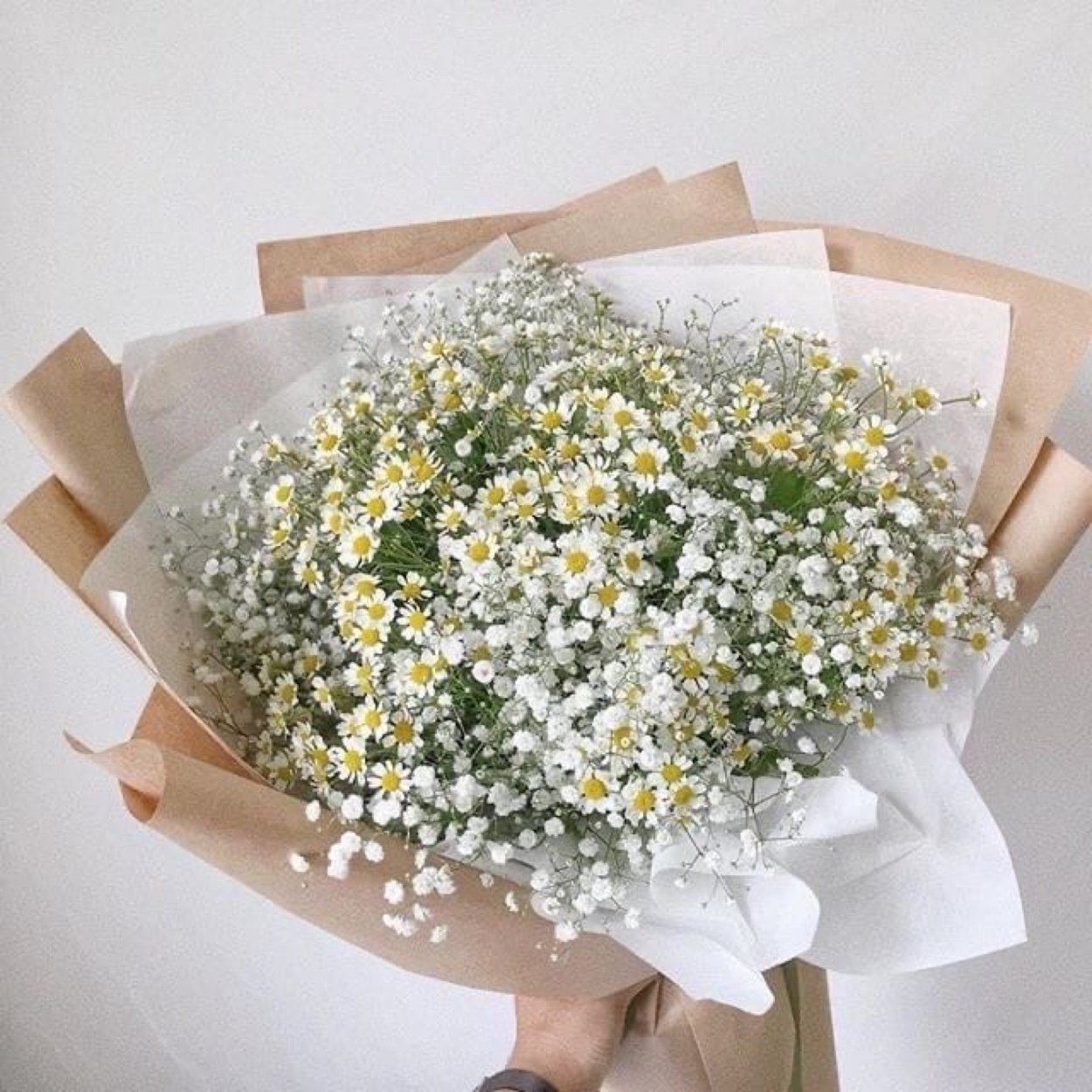 Гипсофилы и ромашки букет