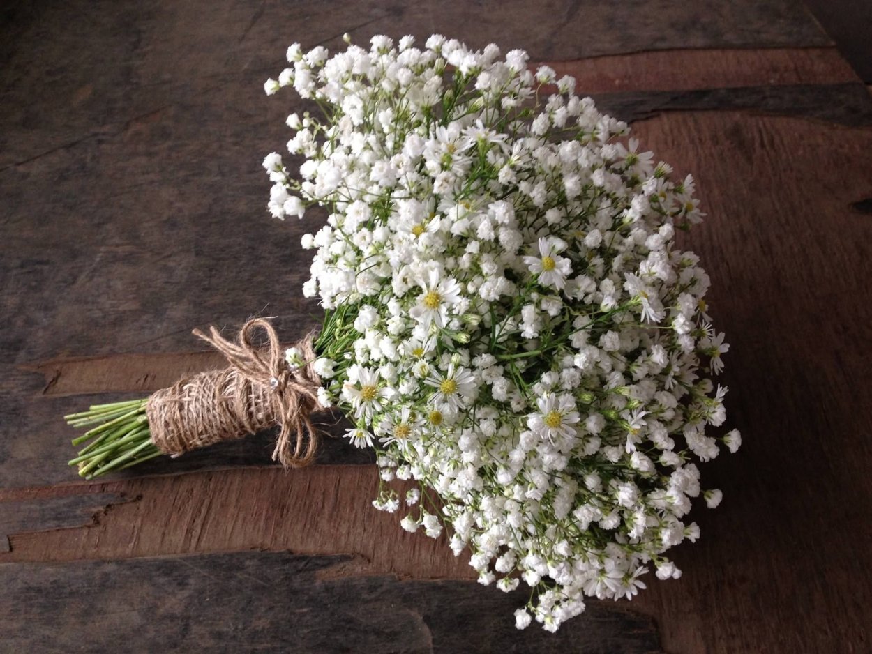 Монобукет гипсофила гипсофила