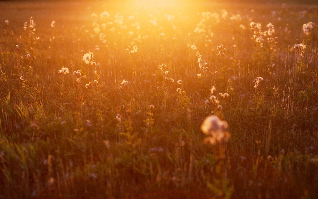 Солнце после дождя