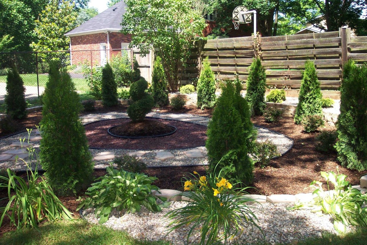 Миксбордеры хвойные гортензии Барбарис