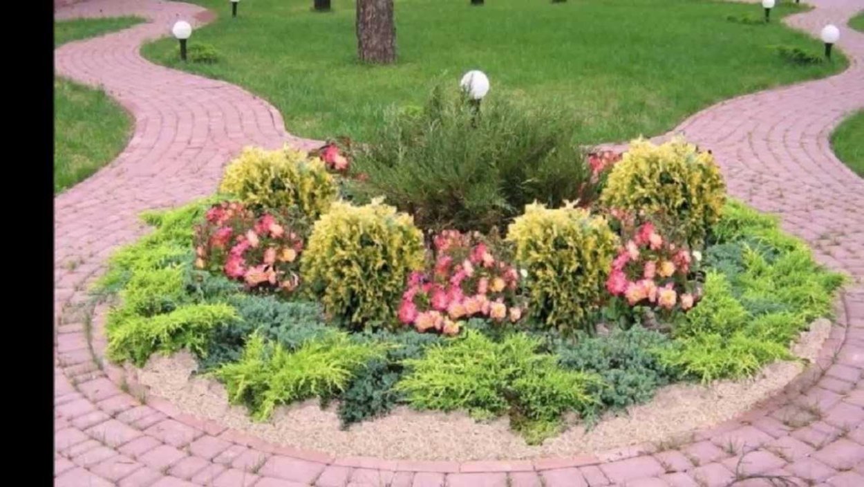 Хвойный рокарий миксбордер