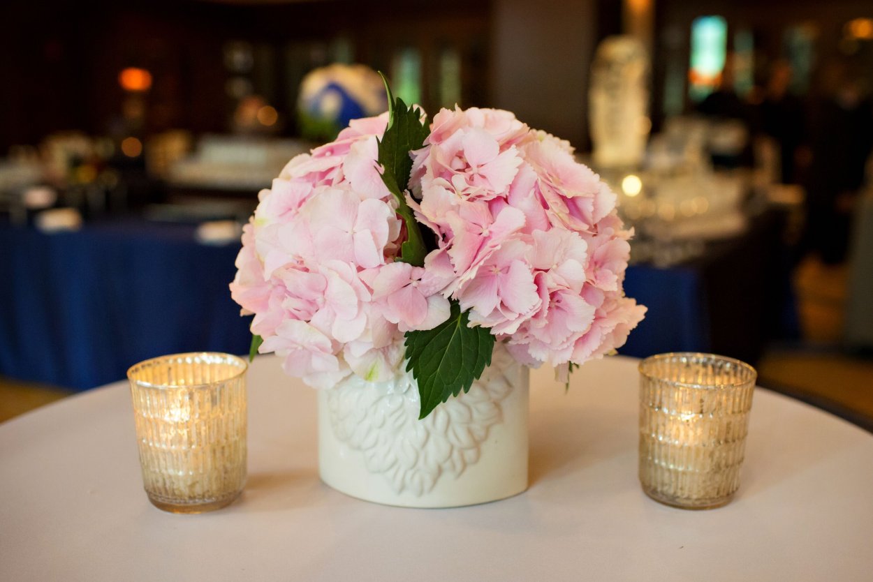 Гортензия сердечком