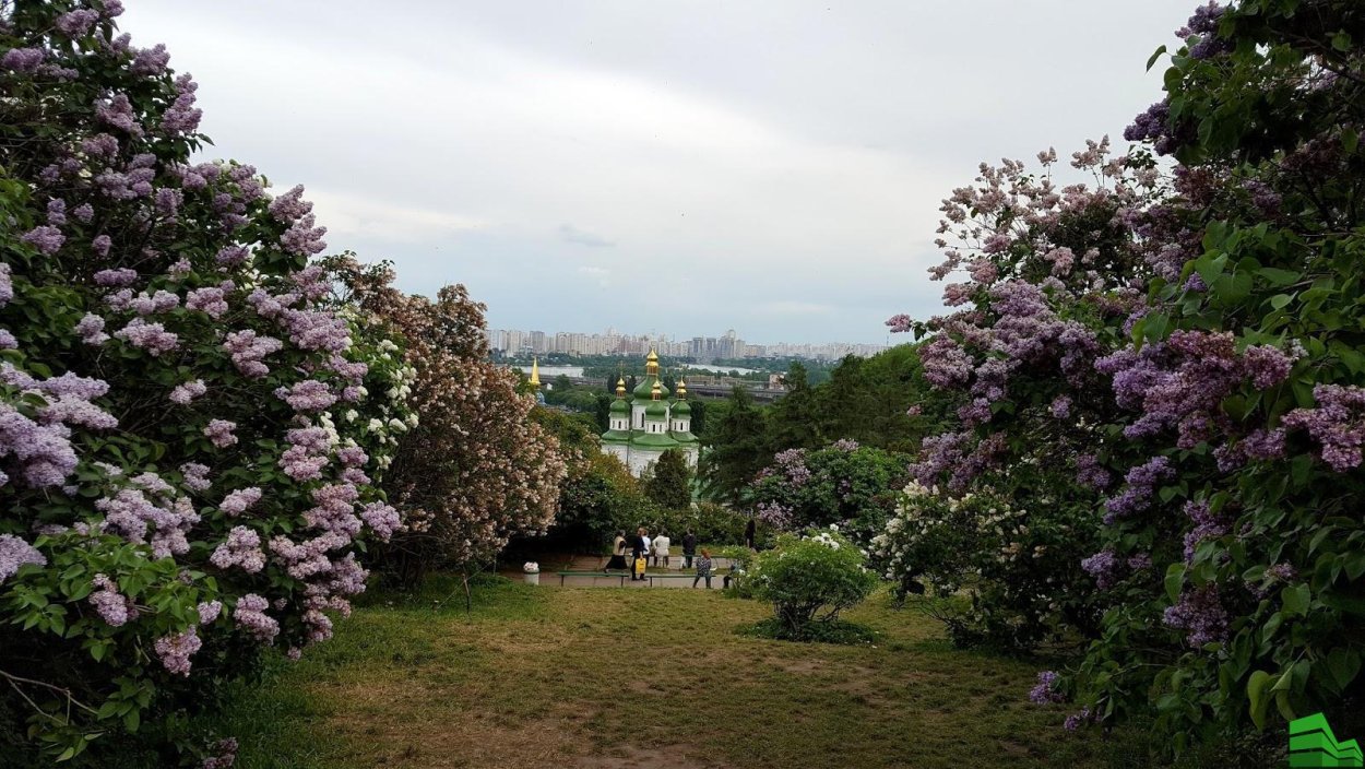 Парк сиреневый сад