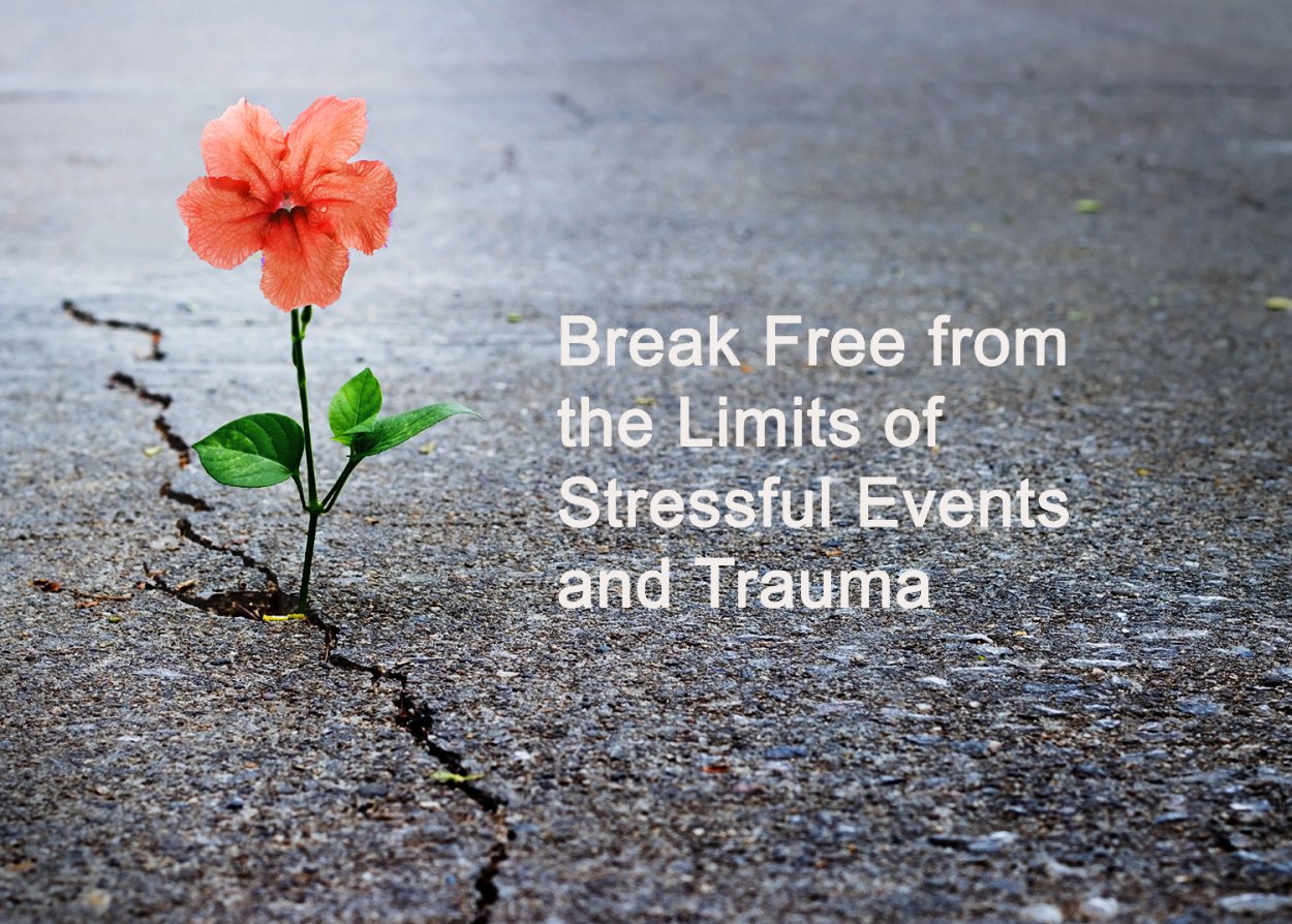 Цветок проросший через асфальт