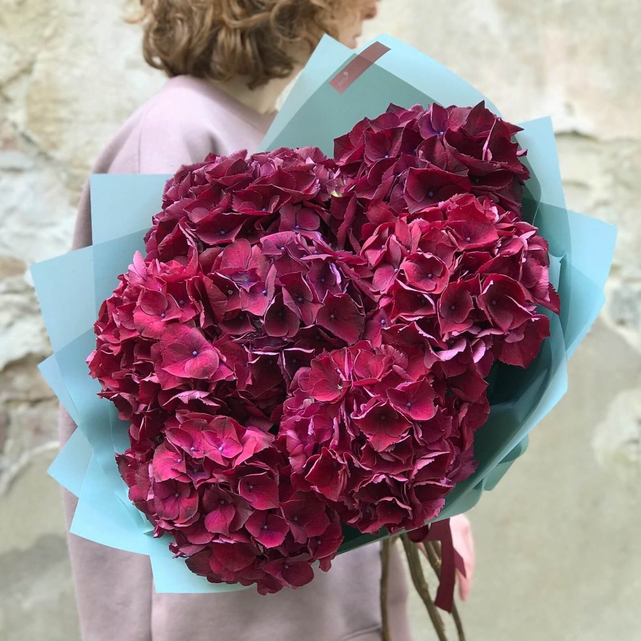 Гортензия бордовая