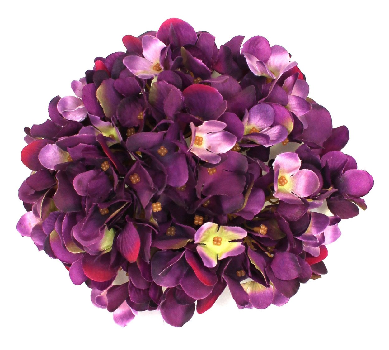 Гортензия фиолетовая