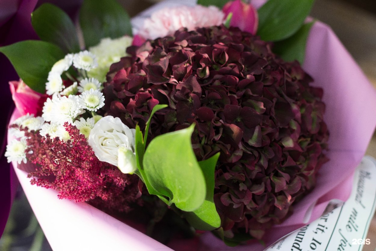 Пион Кримсон вельвет