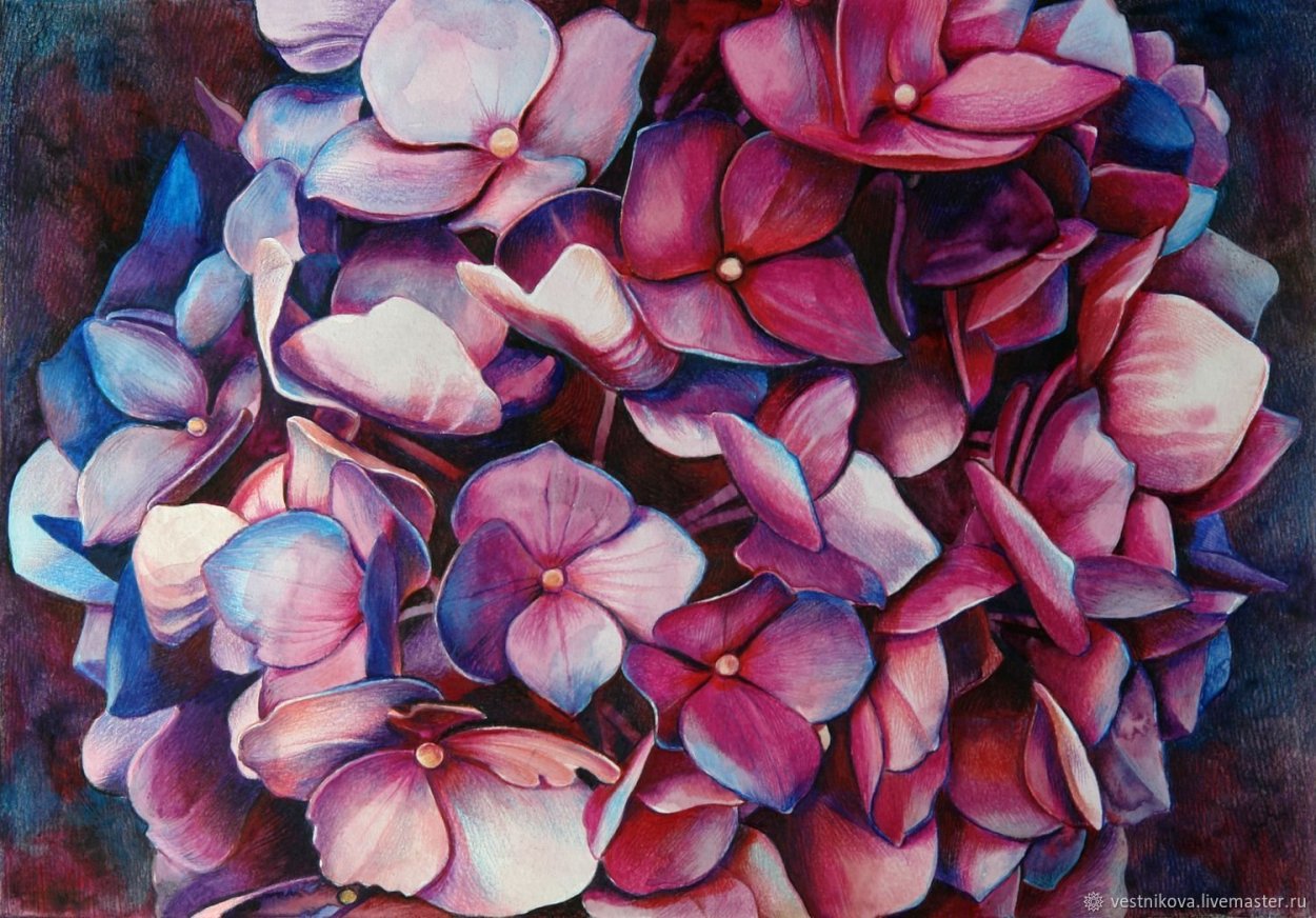 Монобукет - гортензии