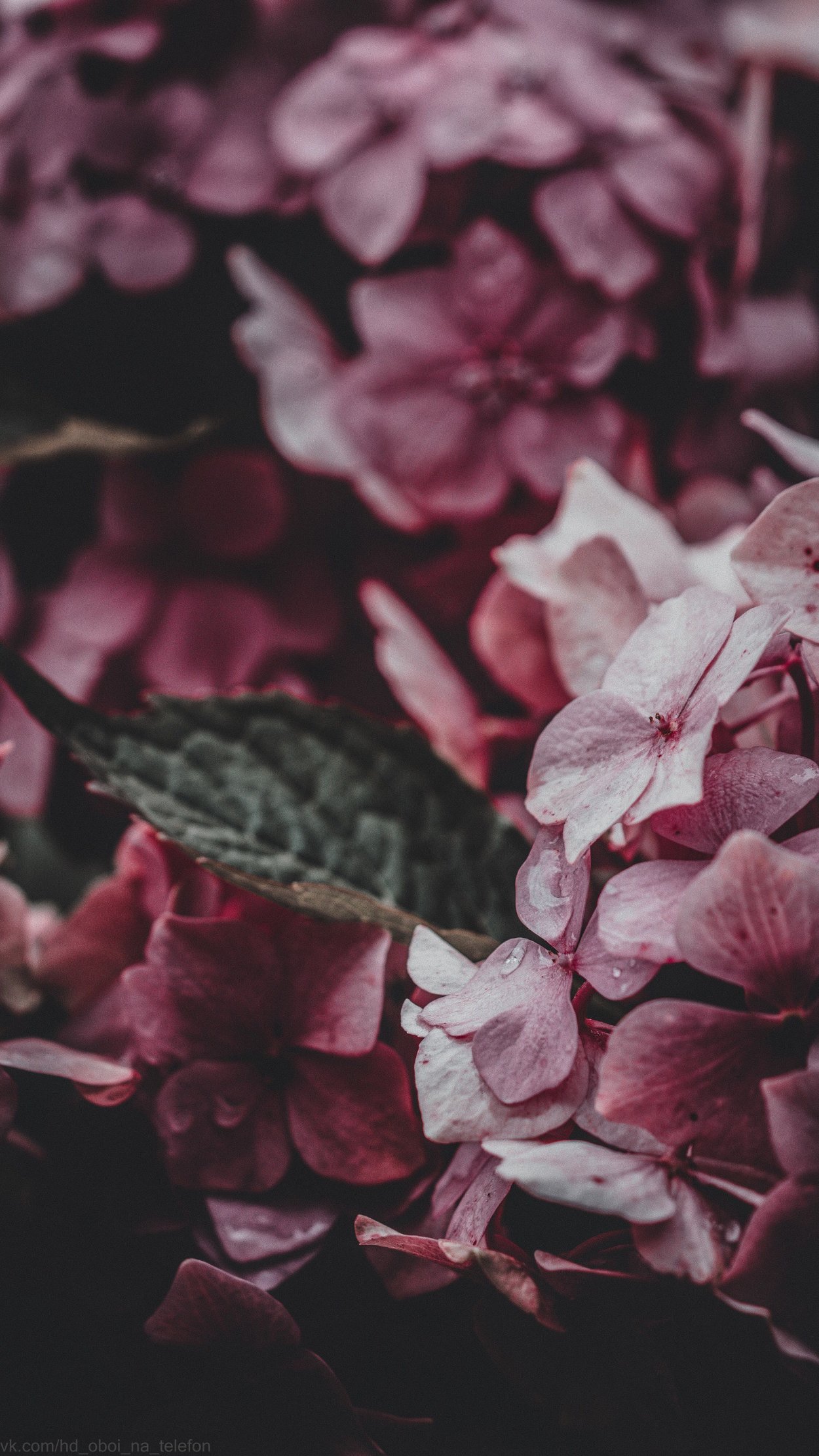 Букет с красной гортензией