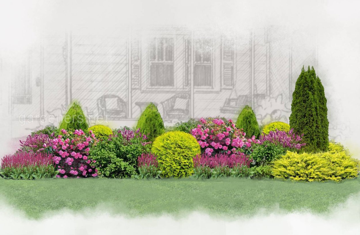 Миксбордер прямоугольной формы