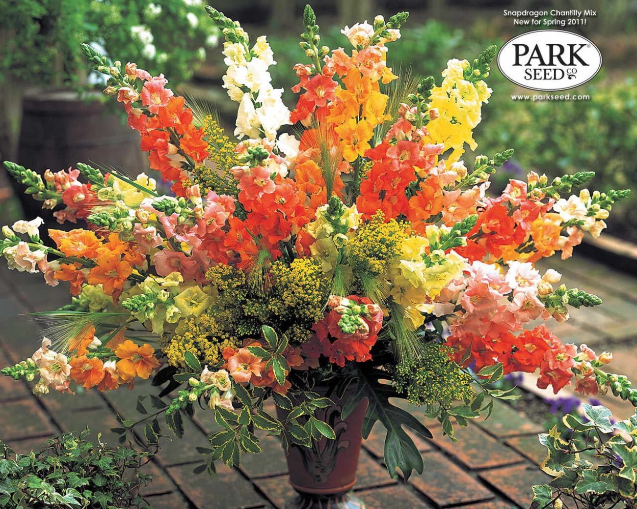 Букет из подсолнухов