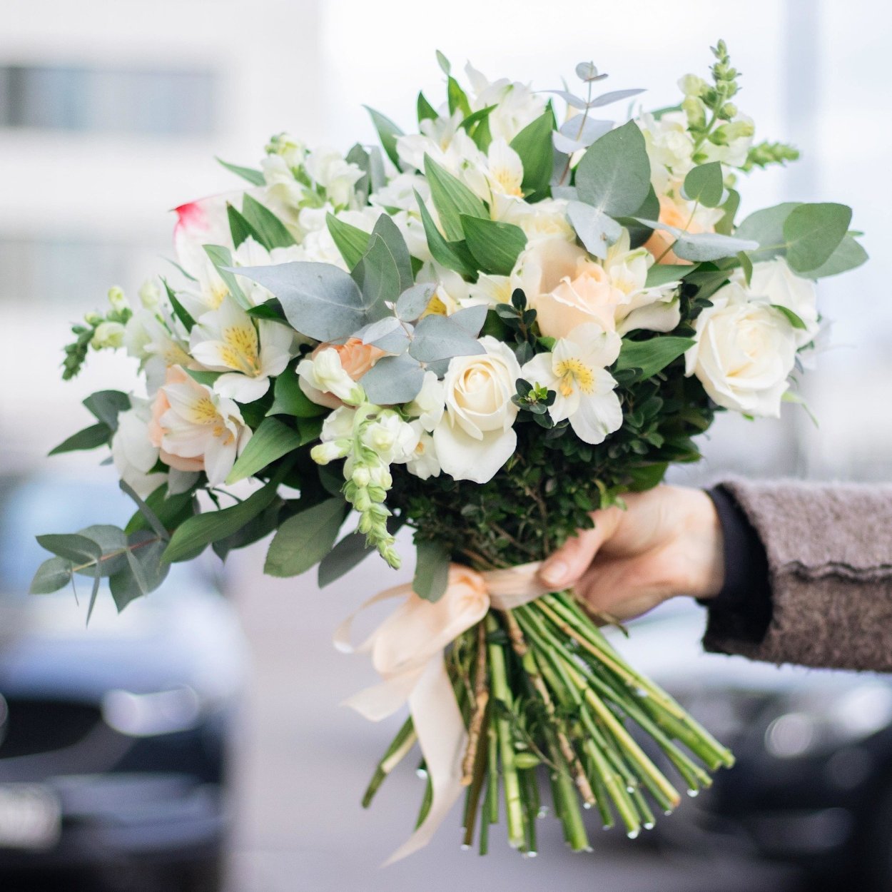 Антирринум Потомак