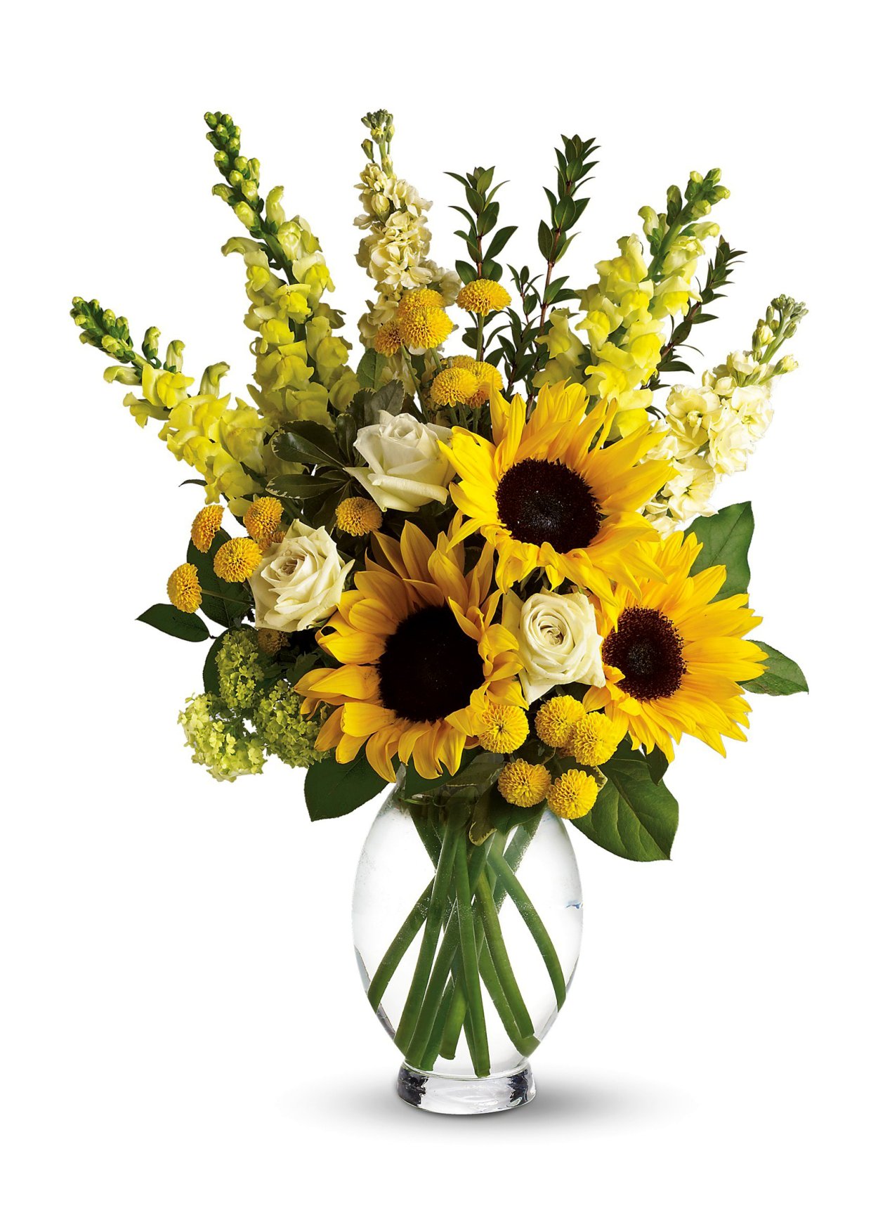 Антирринум леувенбек