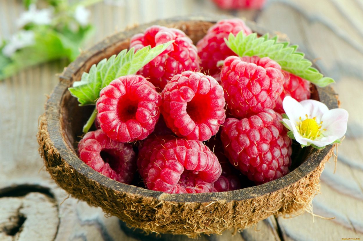 Шипы малины