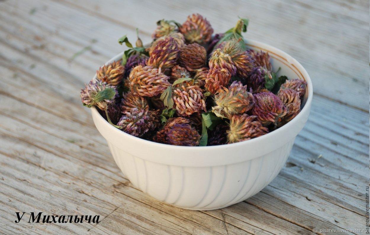 Красный Клевер сушеный