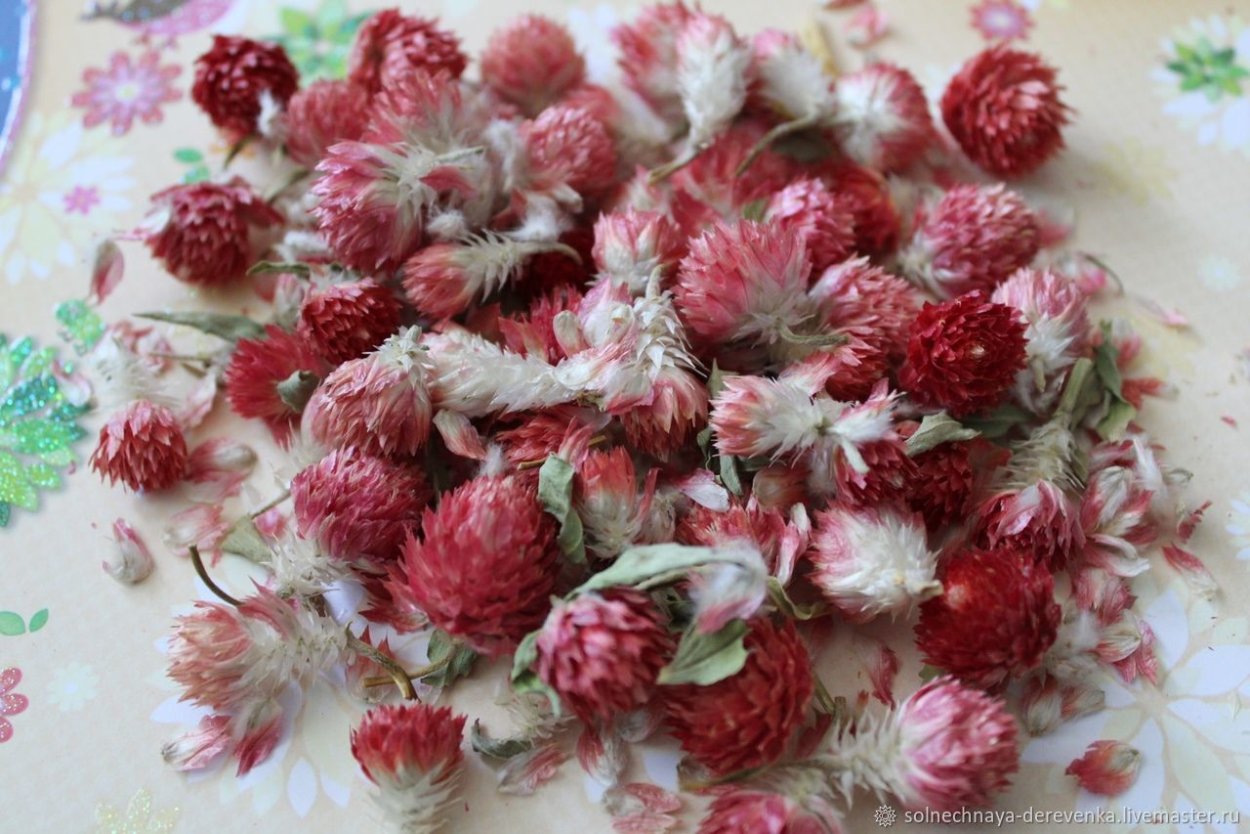 Букет розового клевера