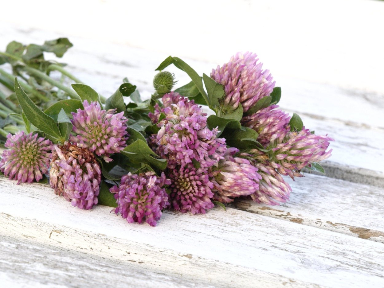 Чай с травами и ягодами