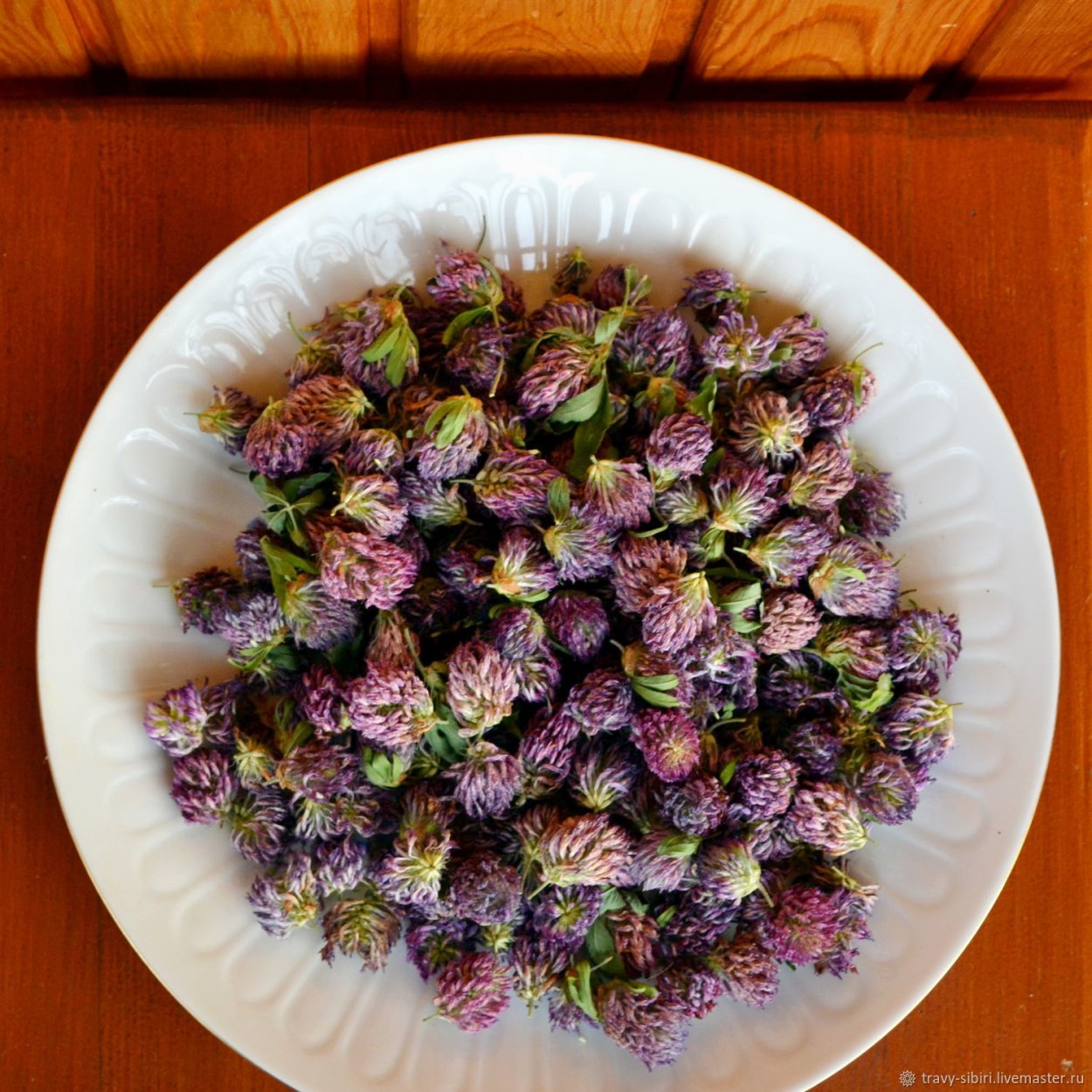 Красный Клевер НСП