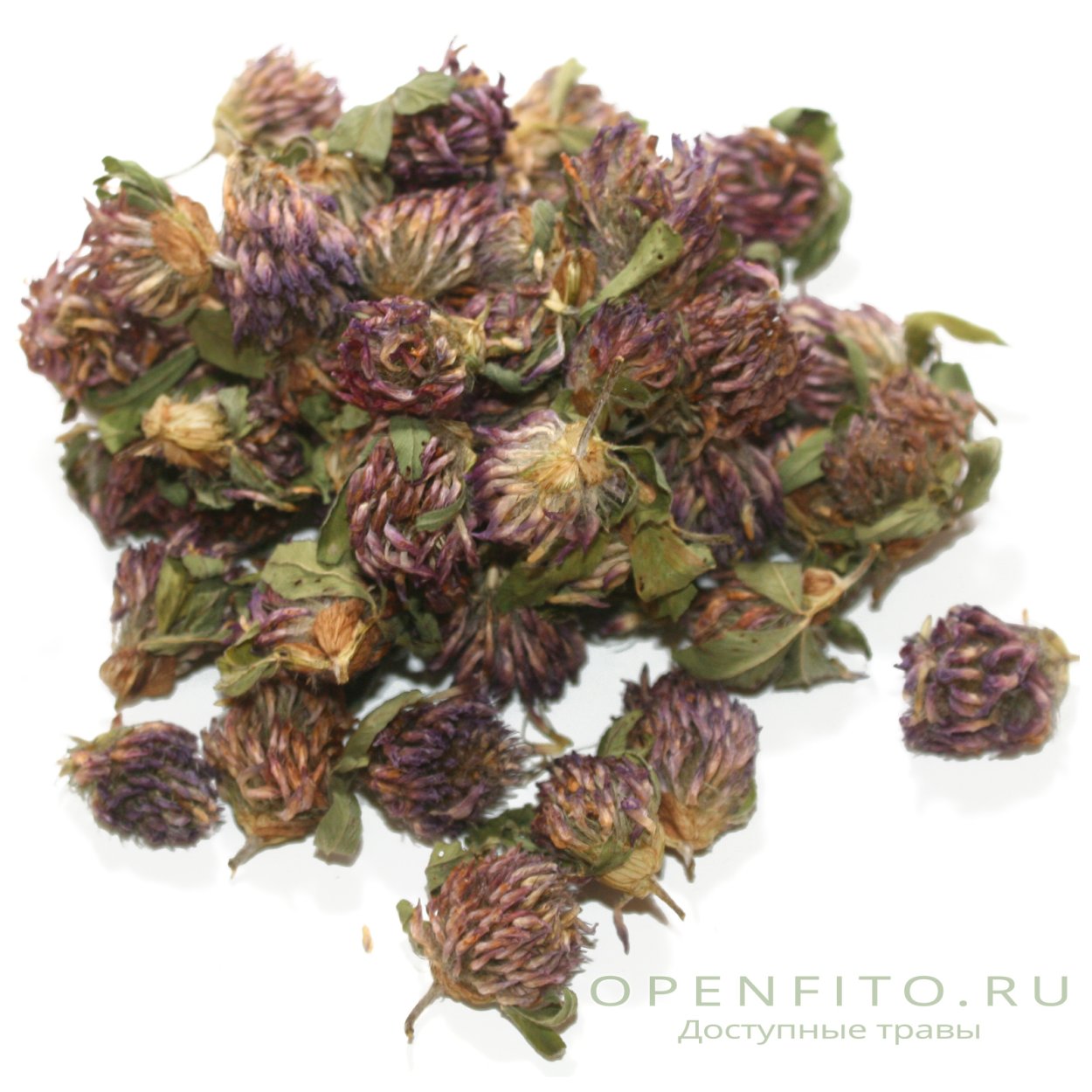 Клевер Луговой сушеный