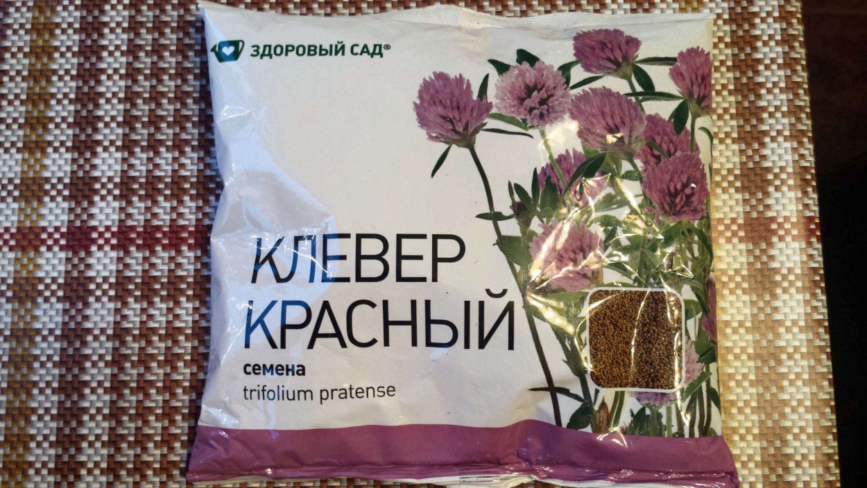 Клевер сушеный на белом фоне