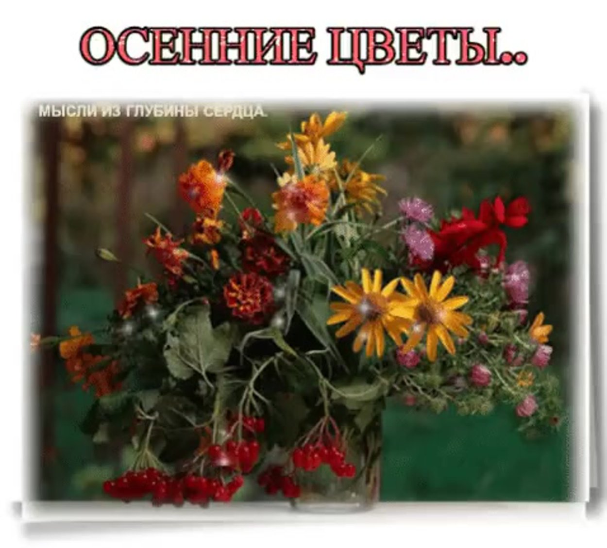 Сентябрьские цветы