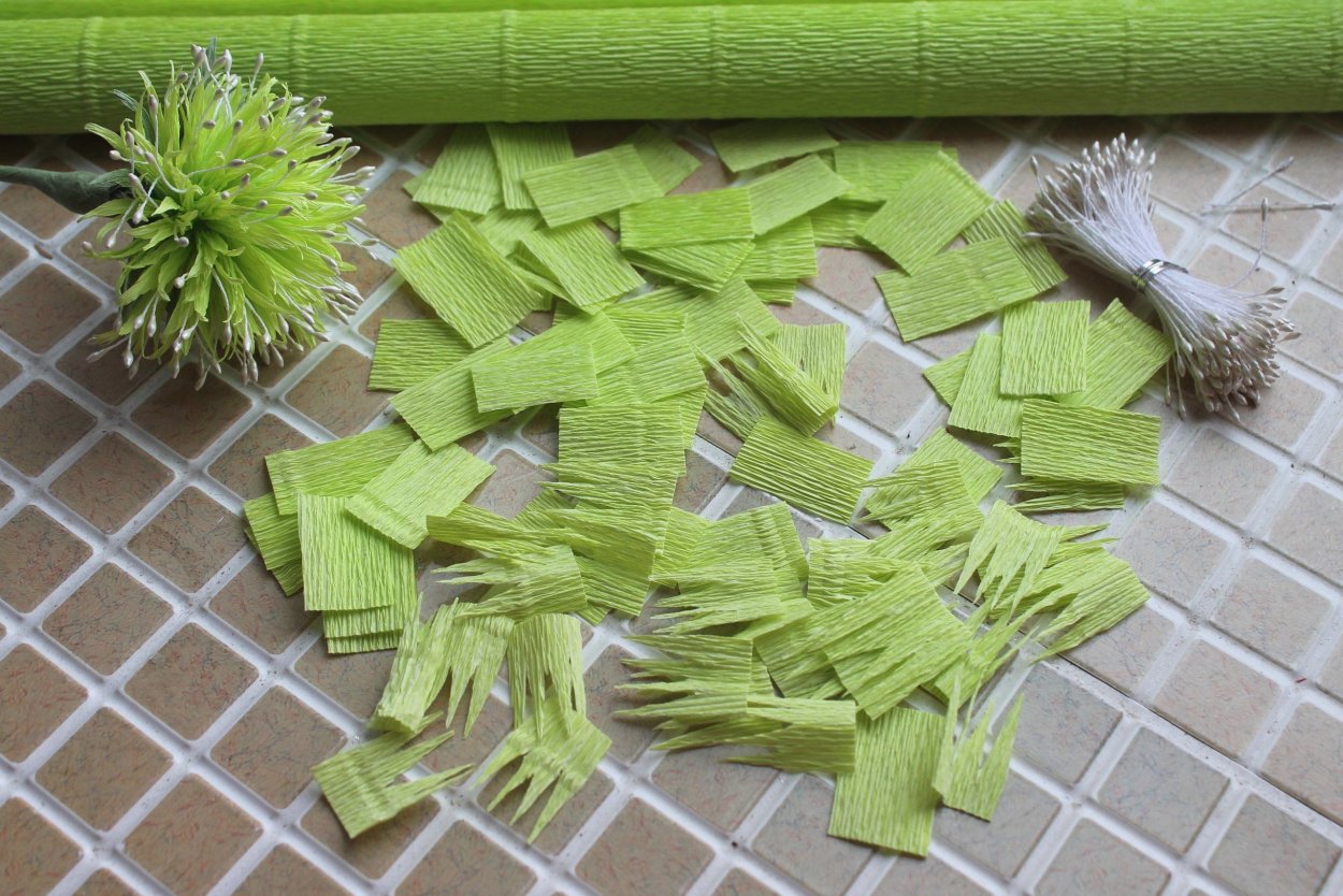 Диантус Барбатус Грин трик