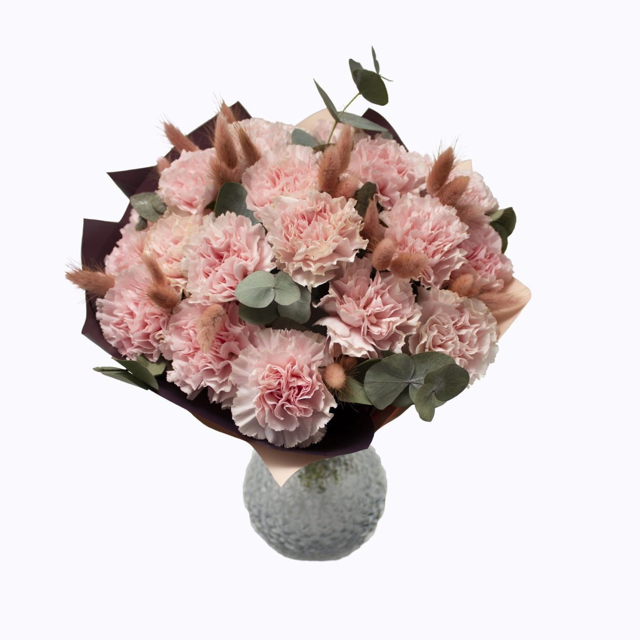 Гвоздика Барбатус Грин