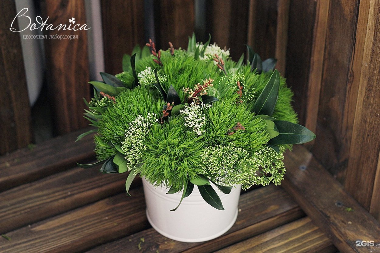 Диантус Грин трик букет