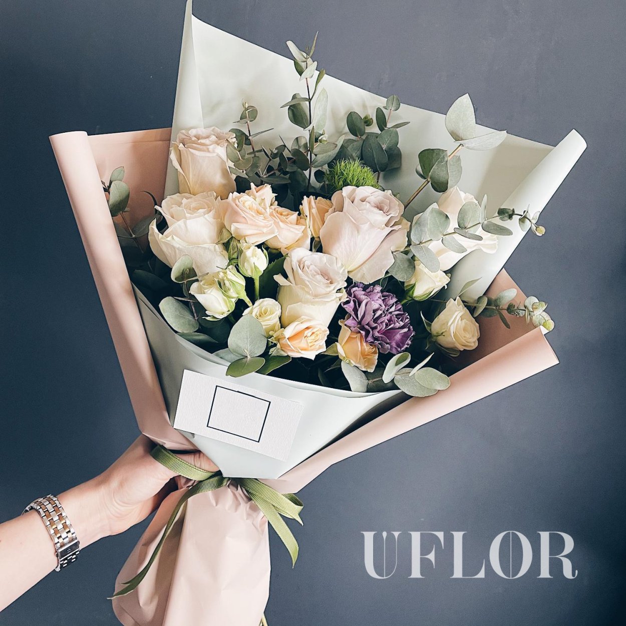 Диантус Барбатус киви Меллоу