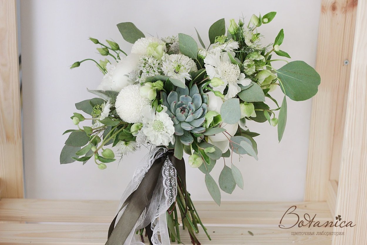 Диантус зеленый