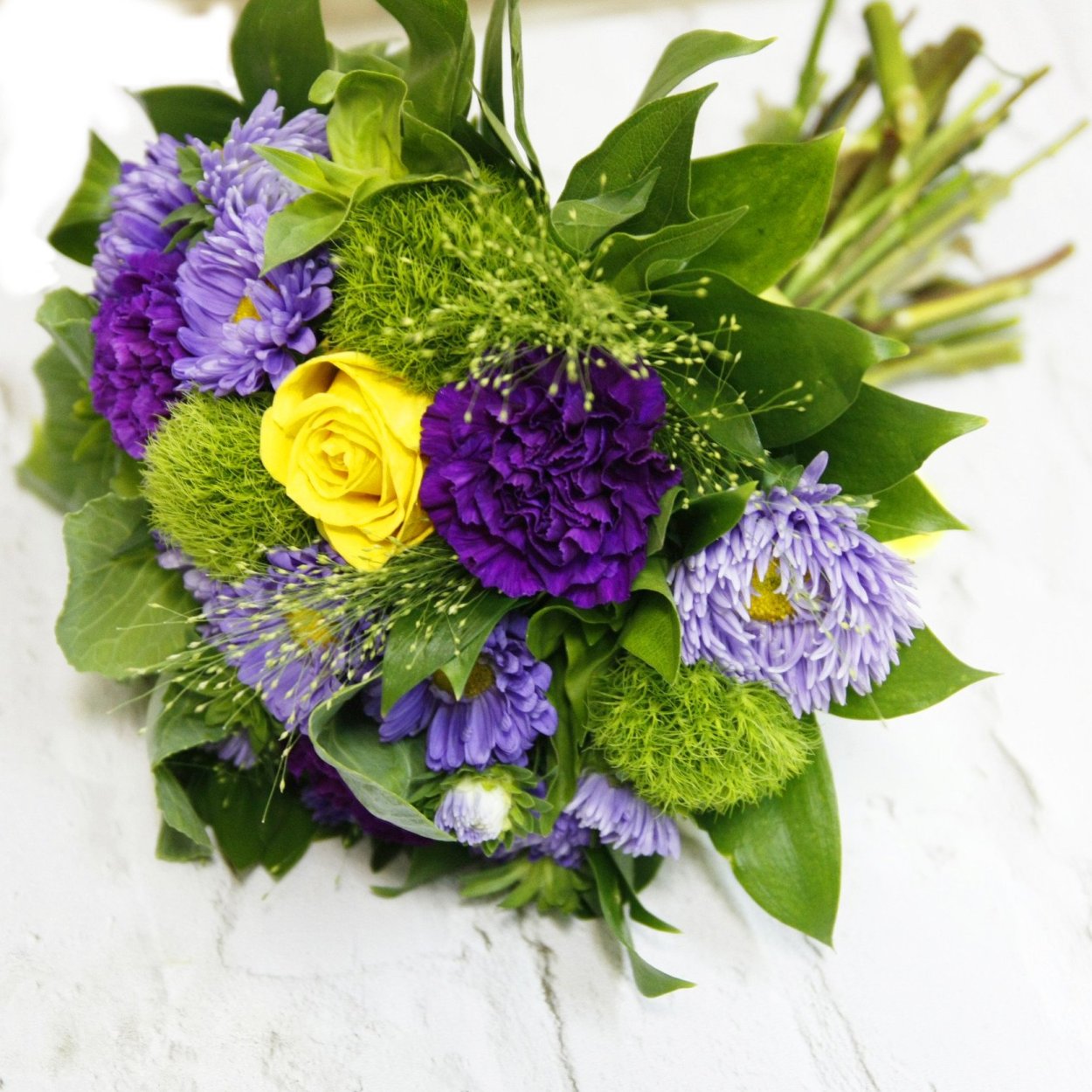 Грин Карнейшн