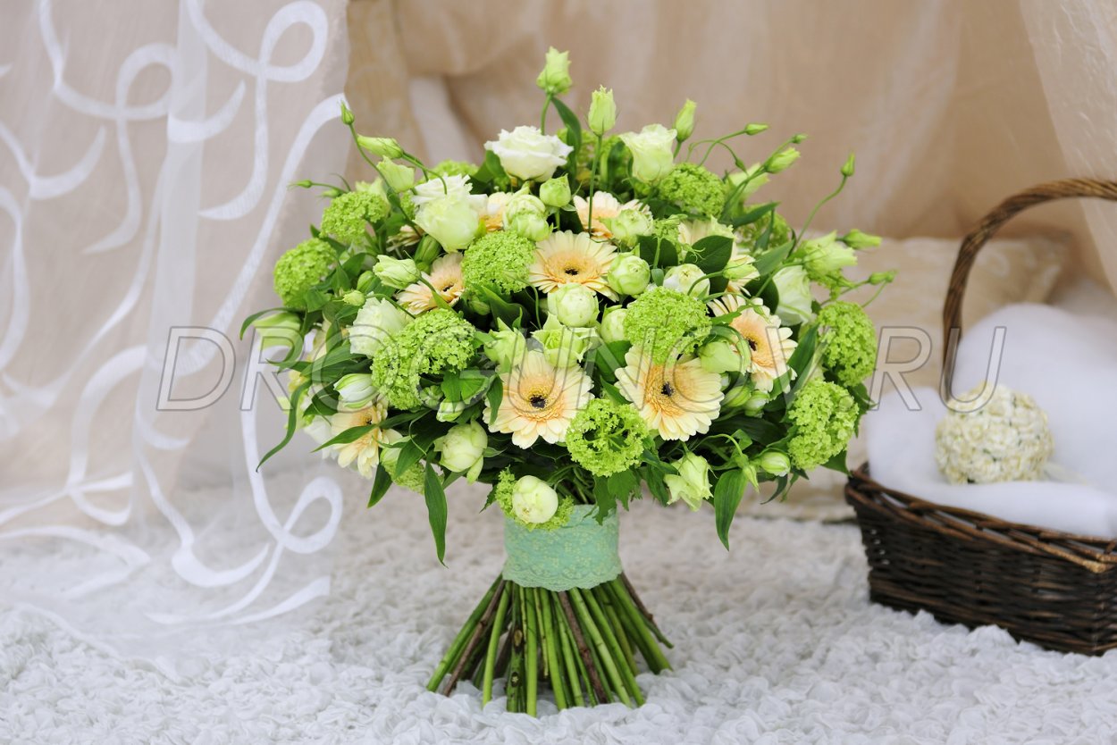 Диантус букет