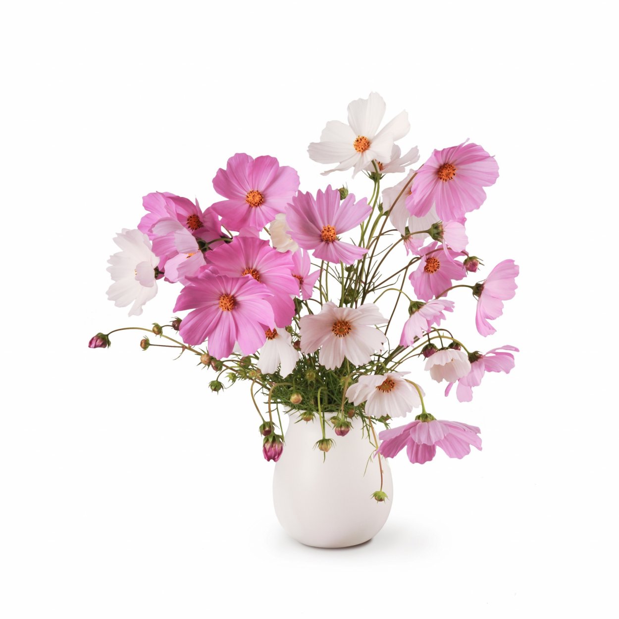 Космея букет