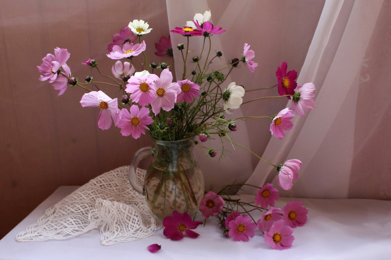 Космея букет